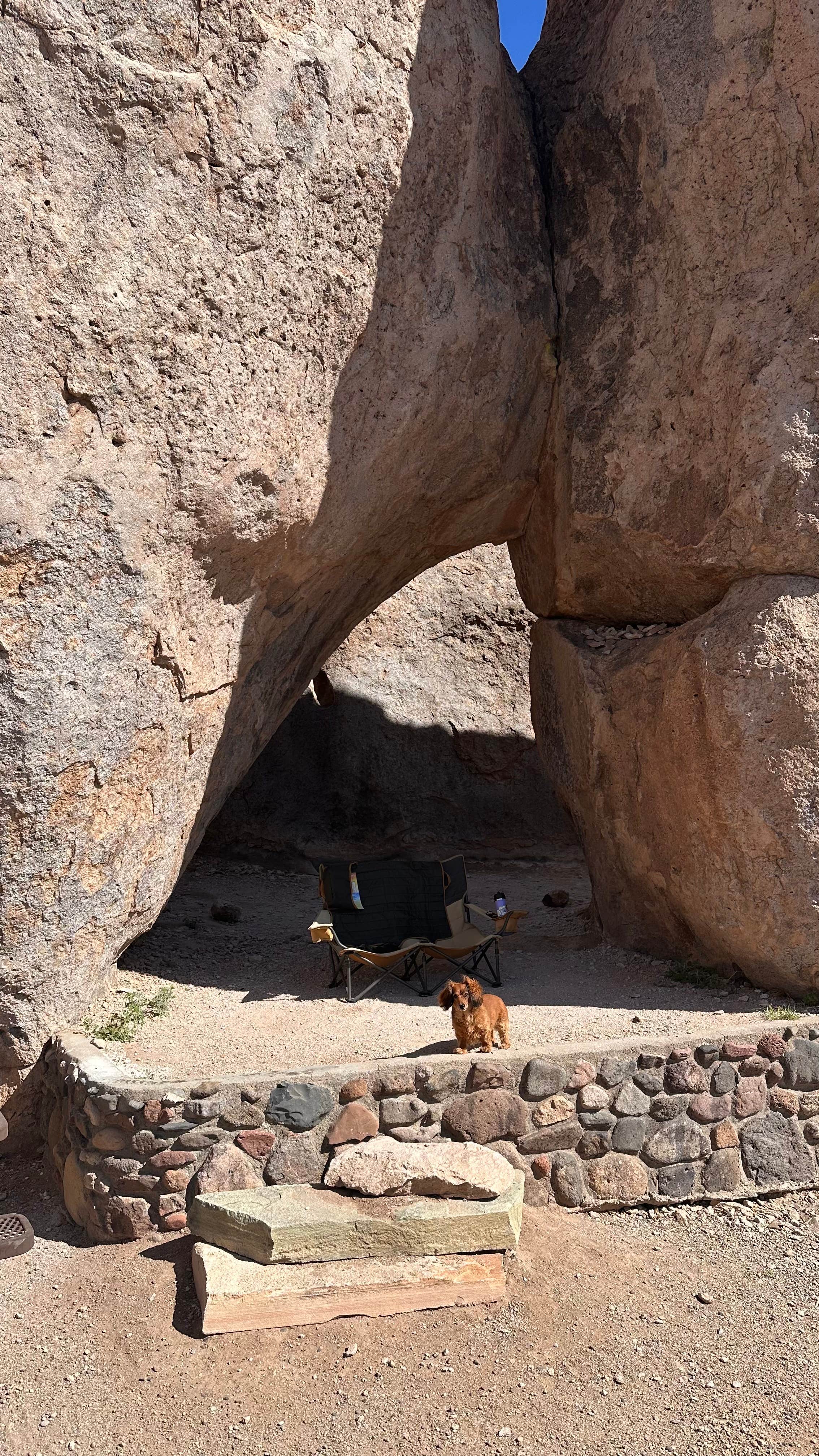 Cari E.'s photo of camping with pets at City of Rocks State Park Campground near Cliff, NM