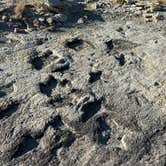 Review photo of Clayton Lake State Park Campground by clint C., January 28, 2026