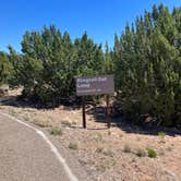 Review photo of Cochiti Recreation Area by Roger W., June 14, 2024