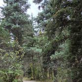 Review photo of Columbine Campground (NM) by Chris G., September 15, 2026