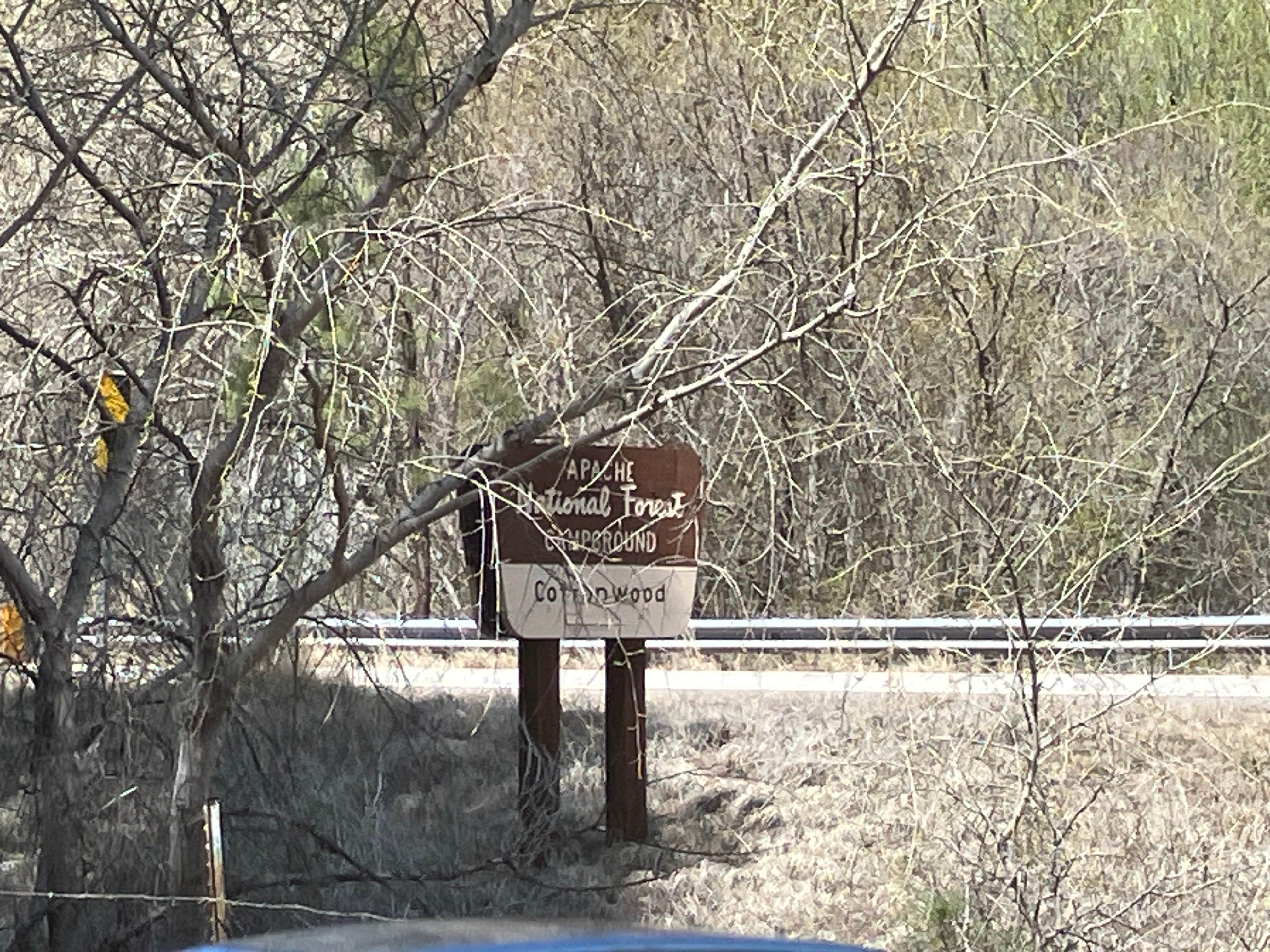 Camper-submitted photo at Cottonwood near Blue, AZ