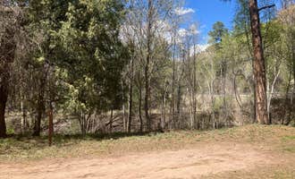 Camping near Armijo Springs Campground: Cottonwood, Reserve, New Mexico