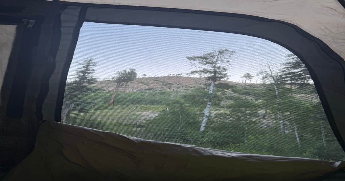 Cow Creek Dispersed Camping Area
