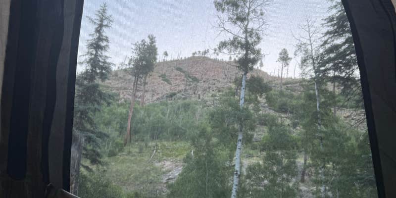 Camper submitted image from Cow Creek Dispersed Camping Area