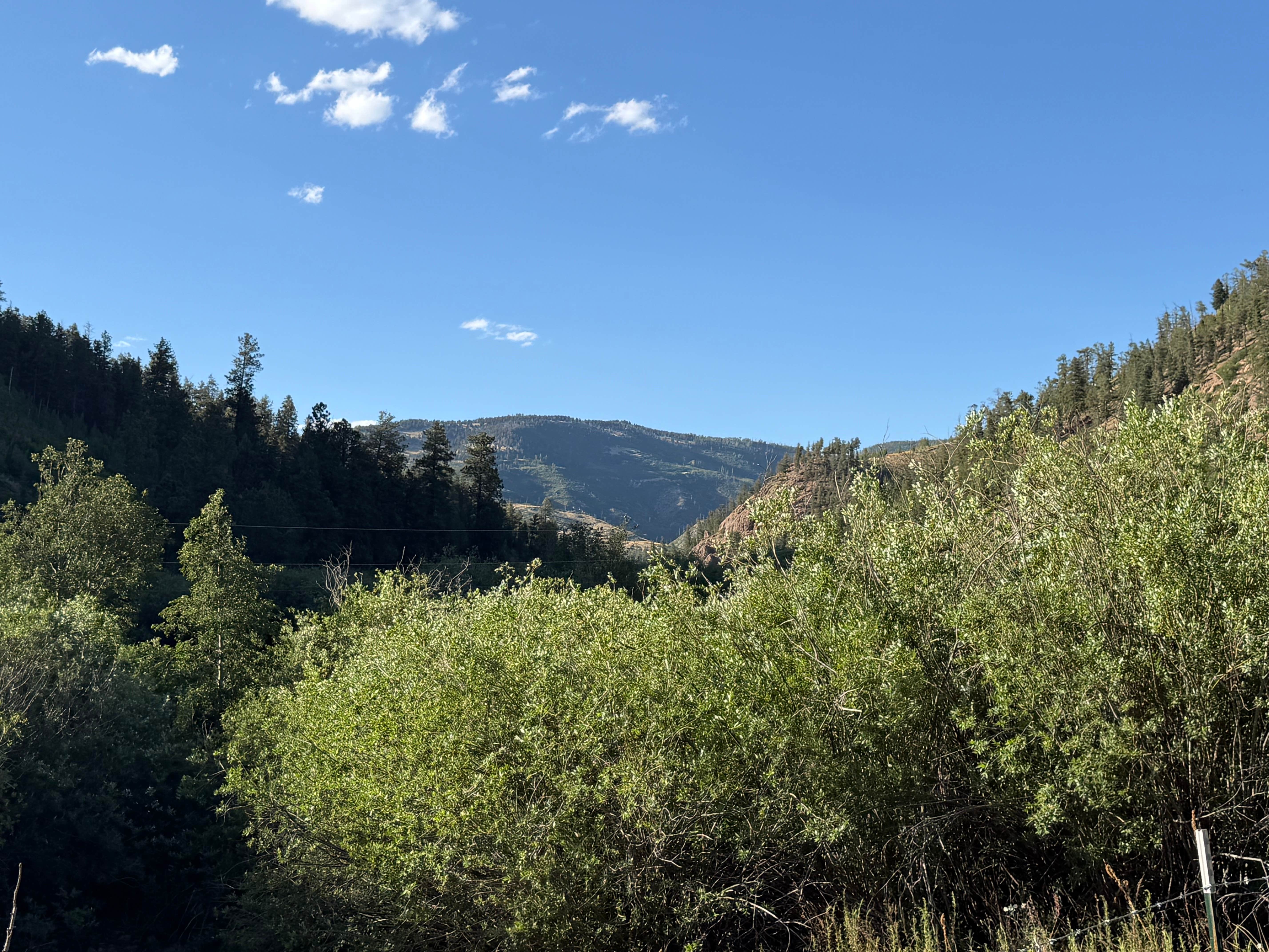 Camper-submitted photo at Cow Creek Dispersed Camping Area near Ribera, NM