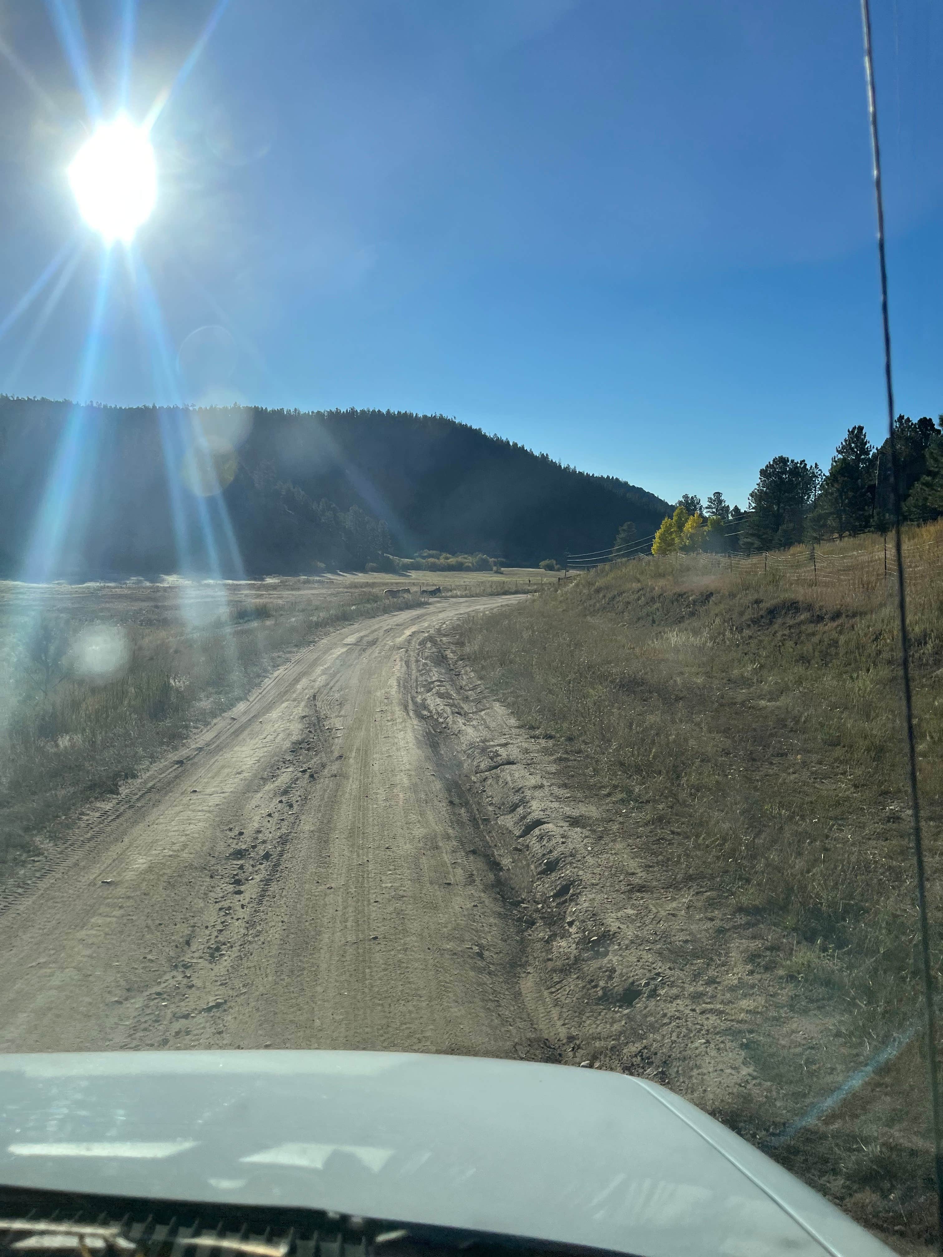 Jennifer H.'s photo of a dispersed camping area at Cow Creek Dispersed Camping Area near Lamy, NM