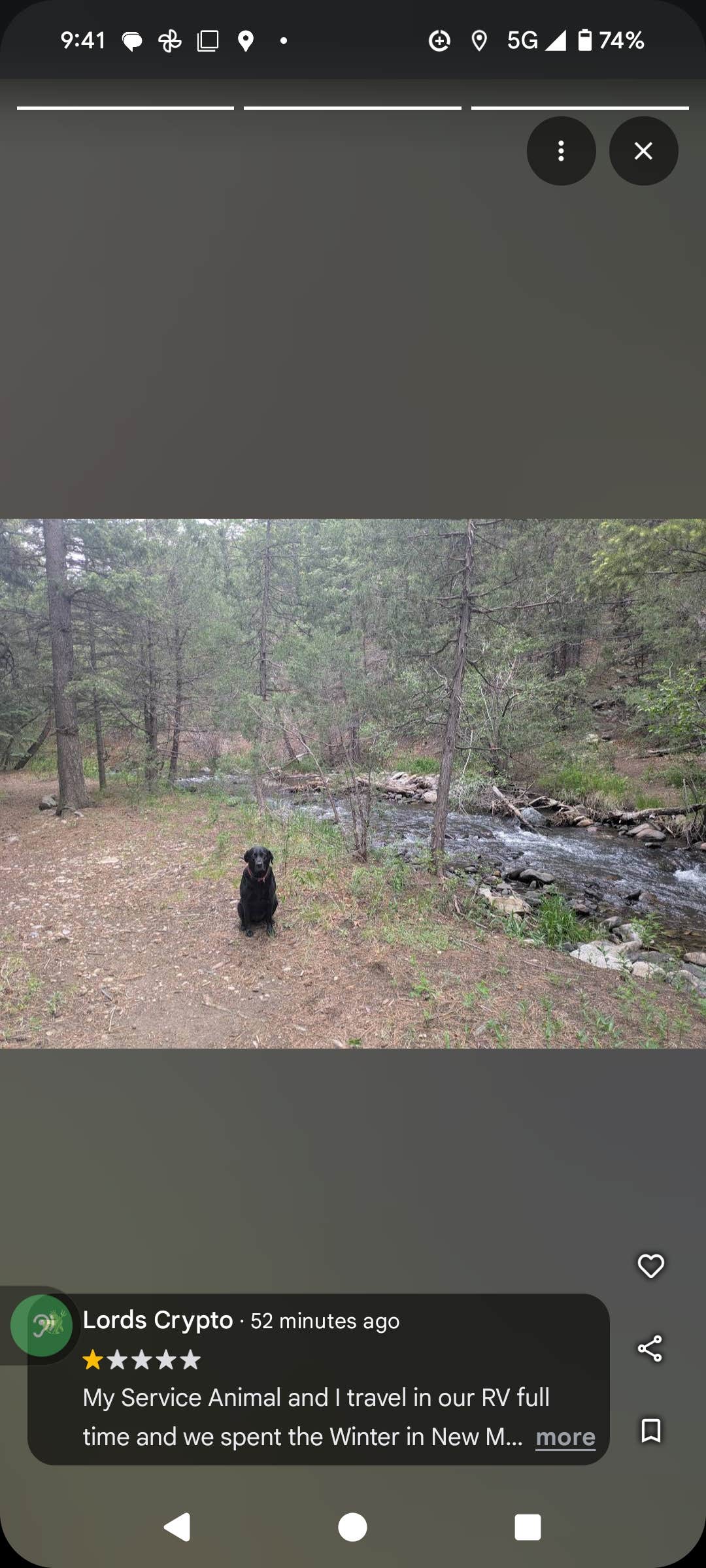 Lords C.'s photo of camping with pets at Coyote Creek State Park Campground near Angel Fire, NM