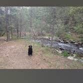 Review photo of Coyote Creek State Park Campground by Lords C., June 6, 2025