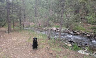 Lords C.'s photo of camping with pets at Coyote Creek State Park Campground near Sapello, NM