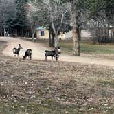 Review photo of Coyote Creek State Park Campground by Renee V., January 29, 2026