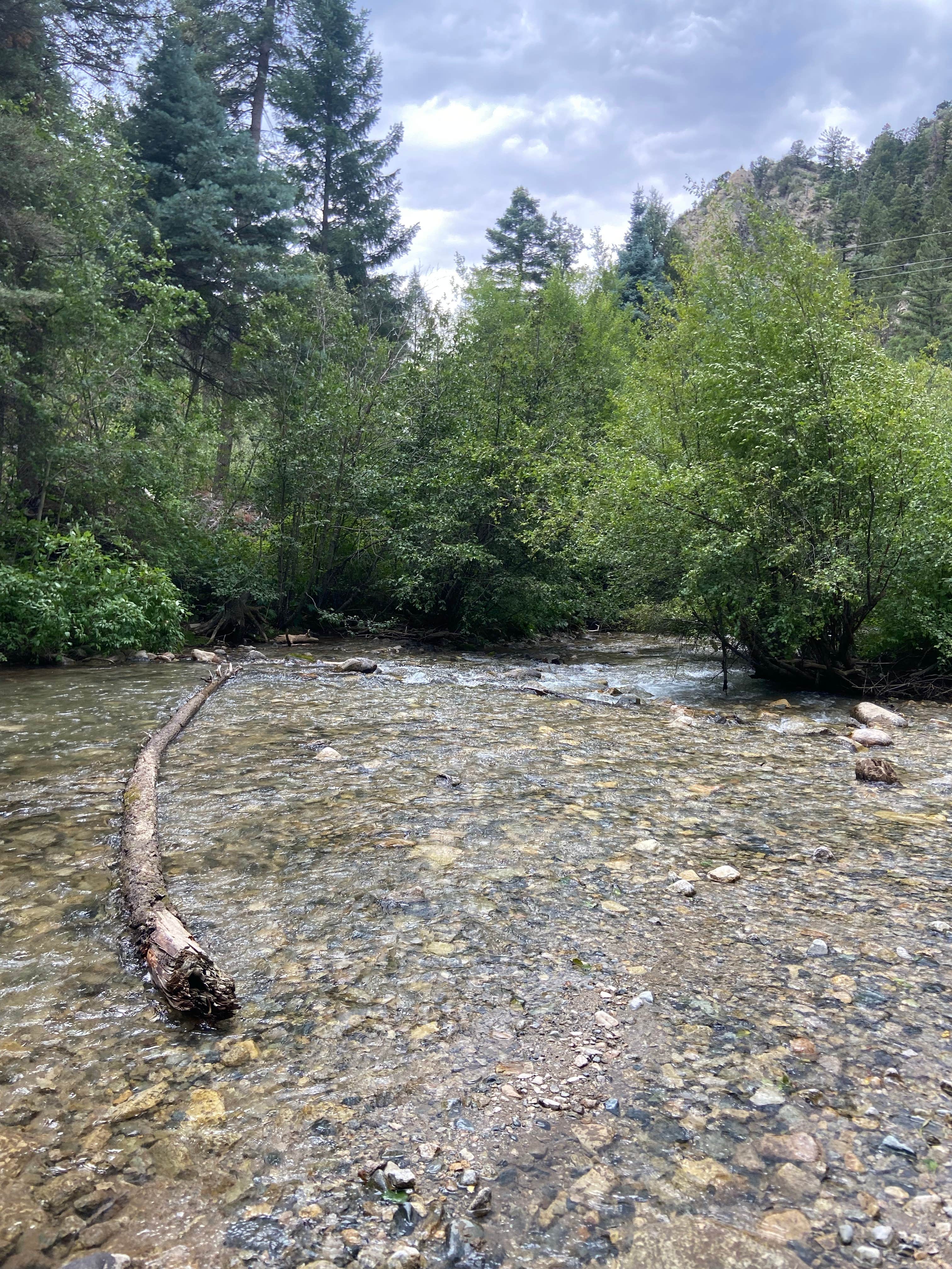 Camper submitted image from Cuchilla Campground - 3