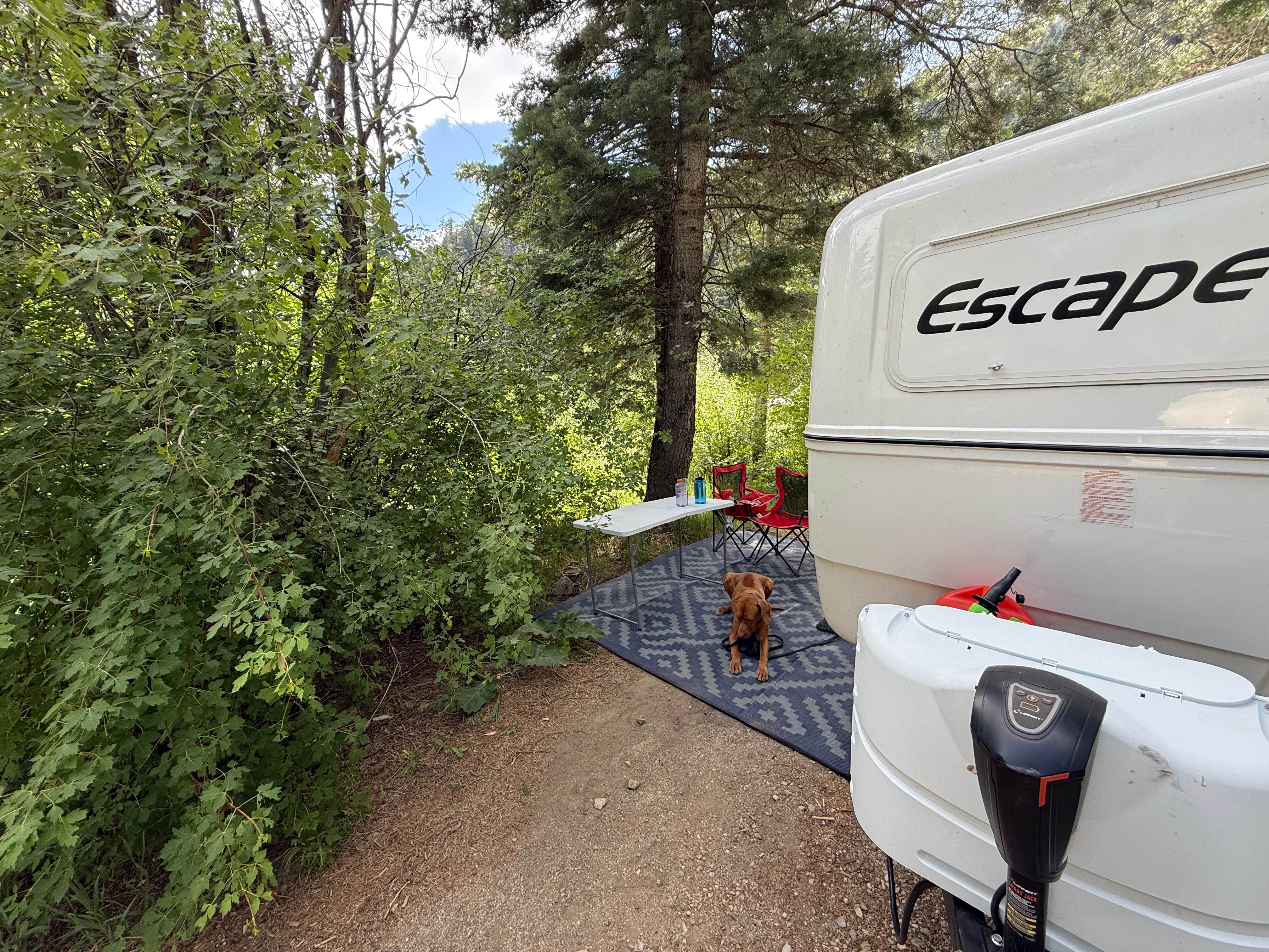 Scott F.'s photo of camping with pets at Cuchilla Campground near Carson National Forest