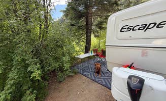 Scott F.'s photo of camping with pets at Cuchilla Campground near Taos, NM