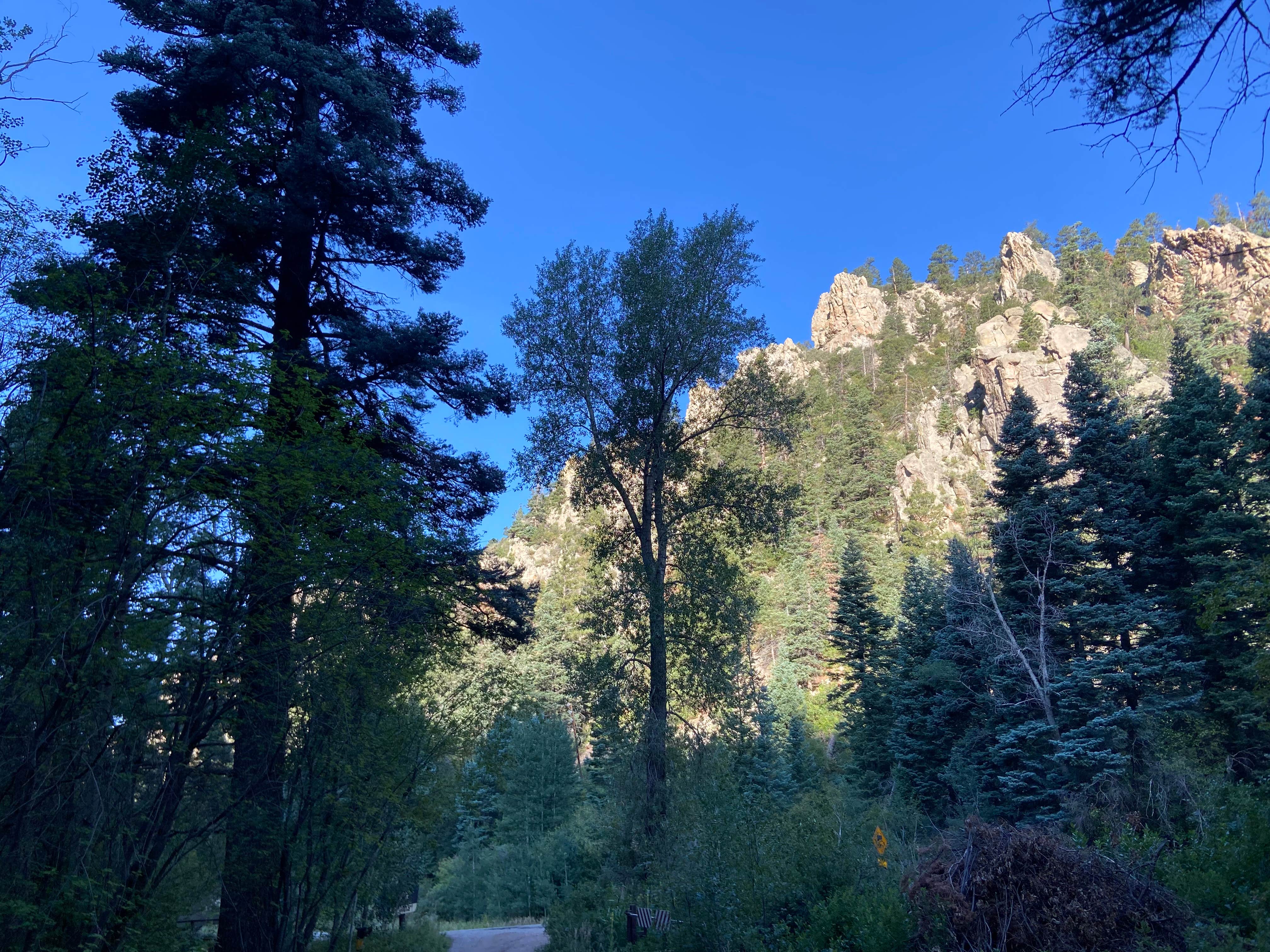 Camper-submitted photo at Cuchilla Campground near Arroyo Seco, NM