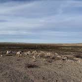 Review photo of Dark Canyon Dispersed by Kevin K., February 22, 2026