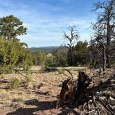 Review photo of Datil Well Recreation Area Campground by Lisa M., August 10, 2025