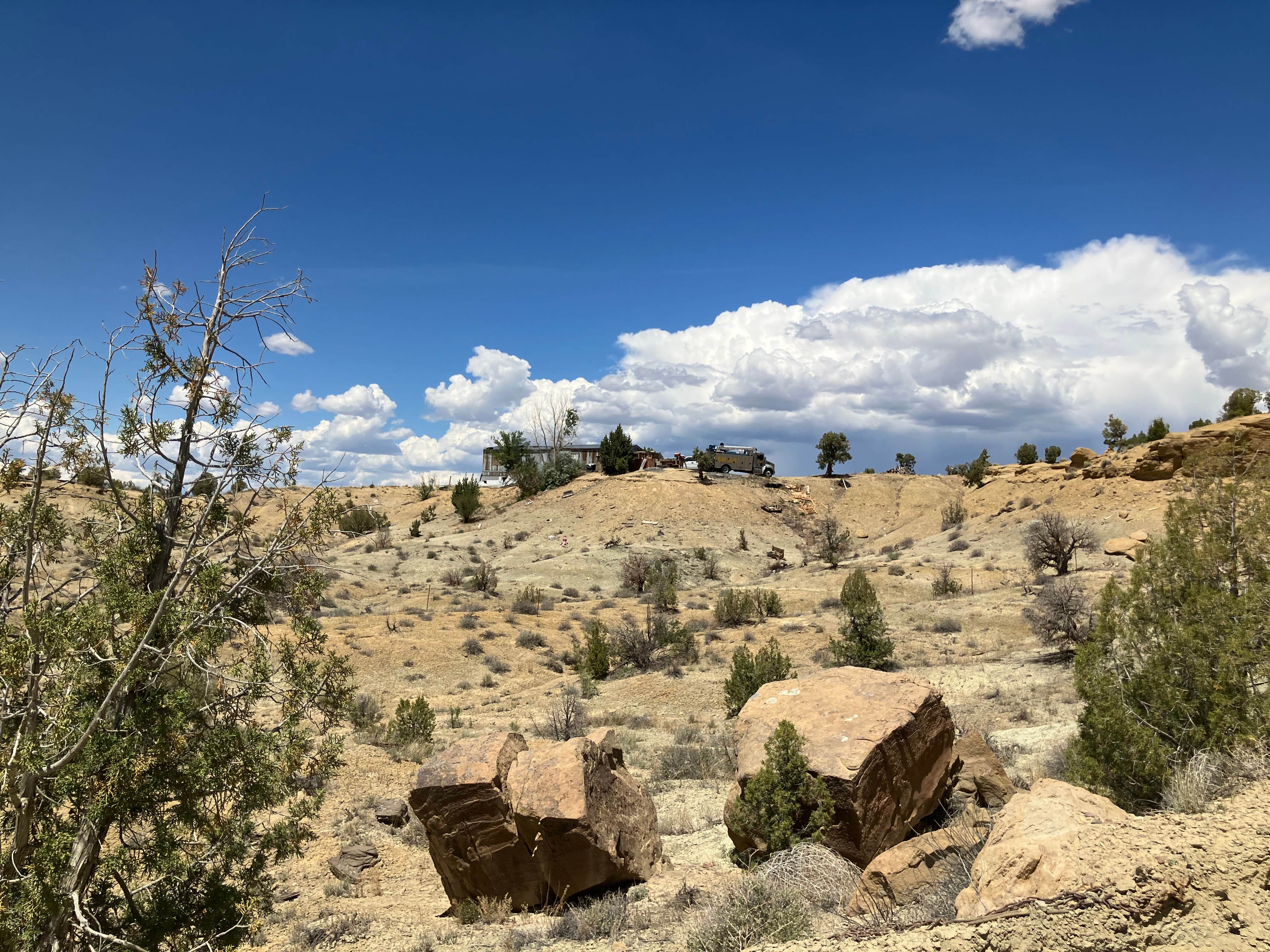 Camper-submitted photo at Dunes OHV Area near Kirtland, NM