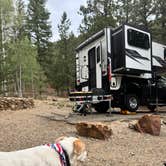Review photo of Elephant Rock Campground by Bonnie B., August 11, 2026