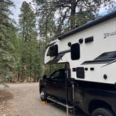 Review photo of Elephant Rock Campground by Bonnie B., August 11, 2026