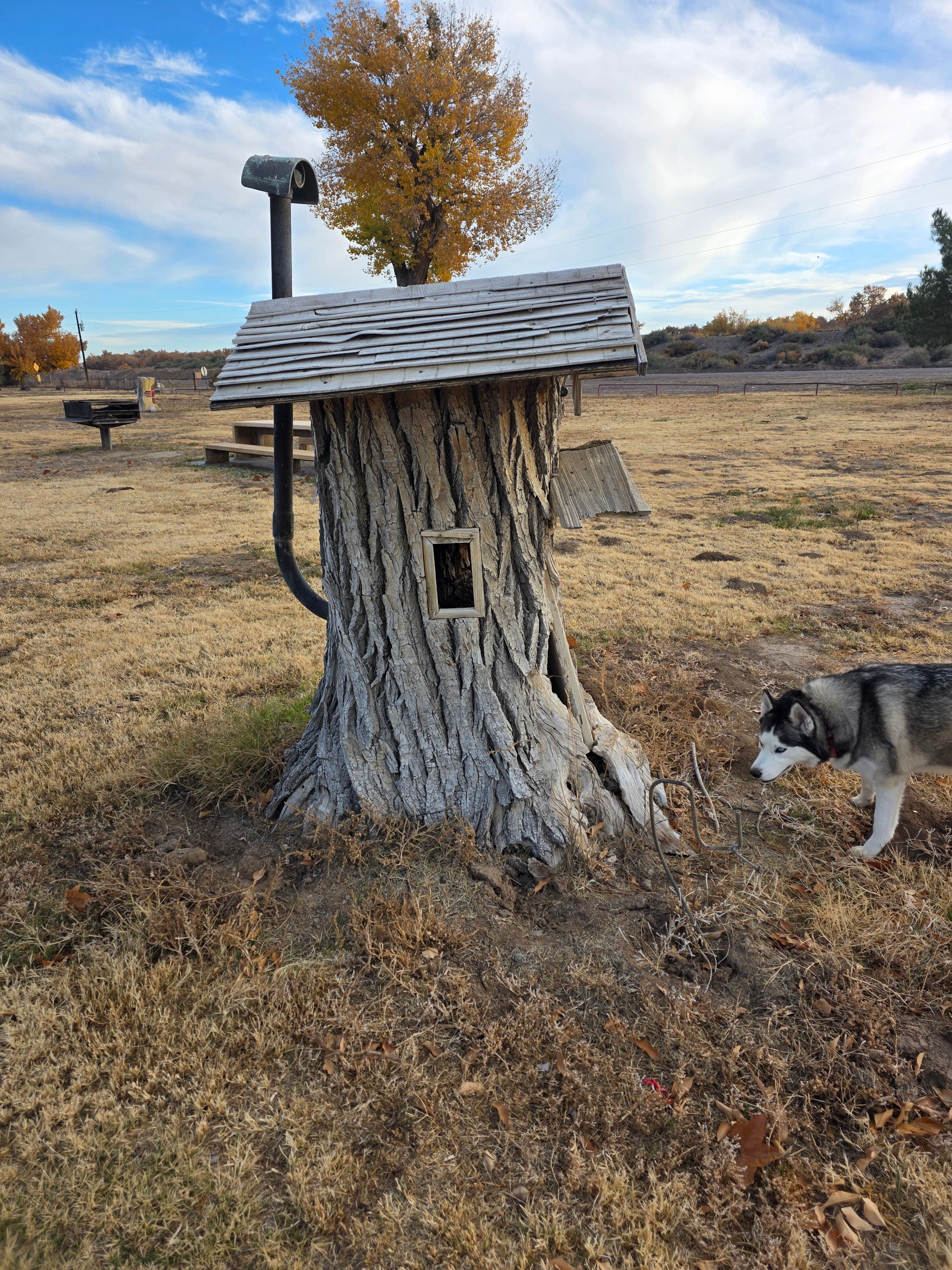 Heather S.'s photo of camping with pets at Escondida Lake Park & Campground near Lemitar, NM