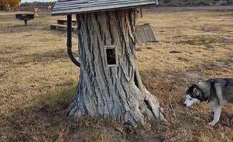 Heather S.'s photo of camping with pets at Escondida Lake Park & Campground near Mountainair, NM