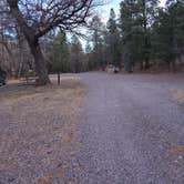 Review photo of Upper Gallinas Campground by Teresa T., November 29, 2024