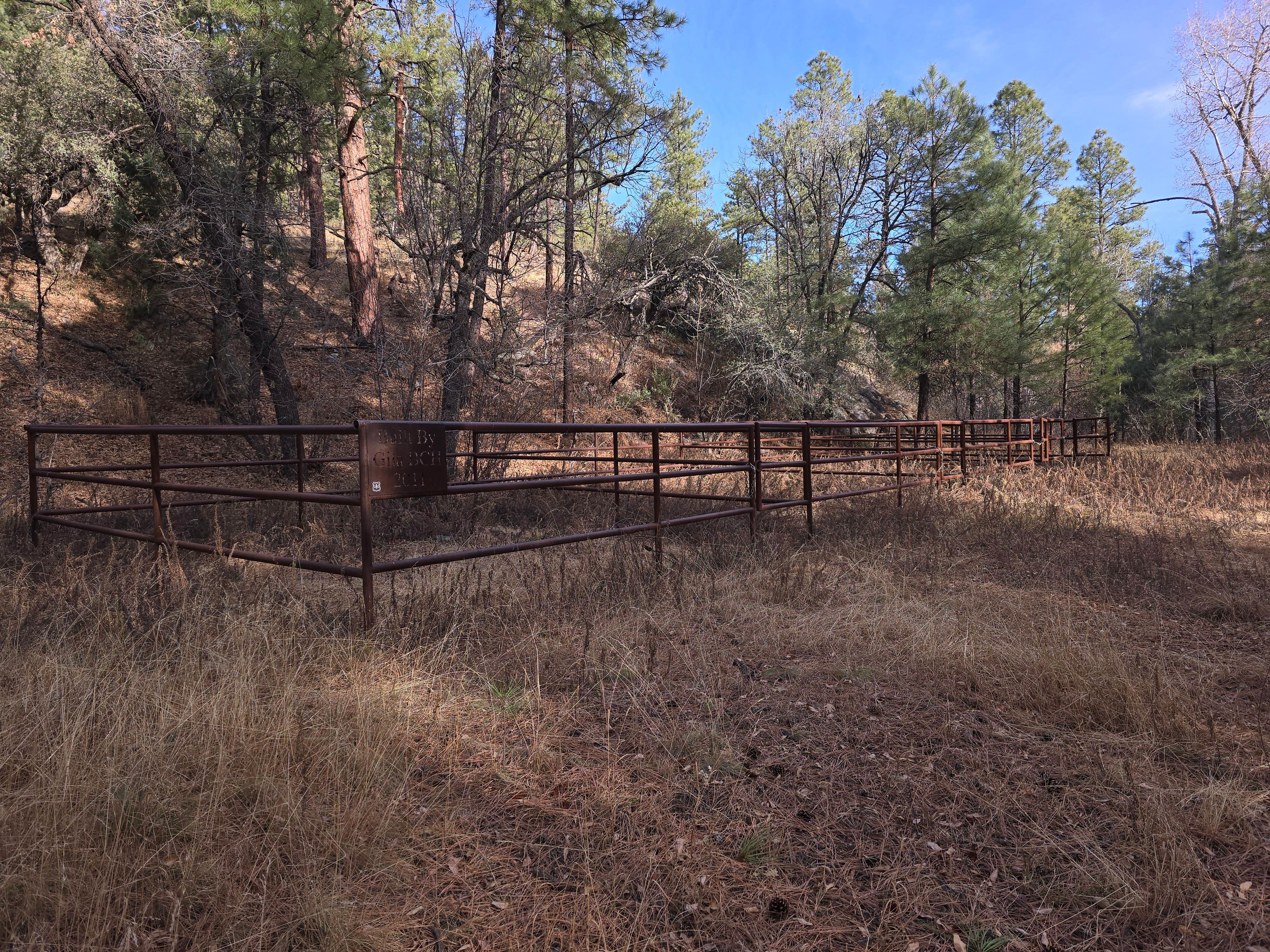 Camper-submitted photo at Upper Gallinas Campground near Mimbres, NM