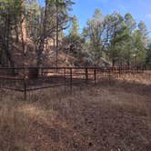 Review photo of Upper Gallinas Campground by Teresa T., November 29, 2024