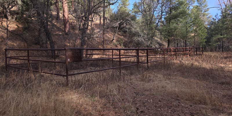 Camper submitted image from Upper Gallinas Campground
