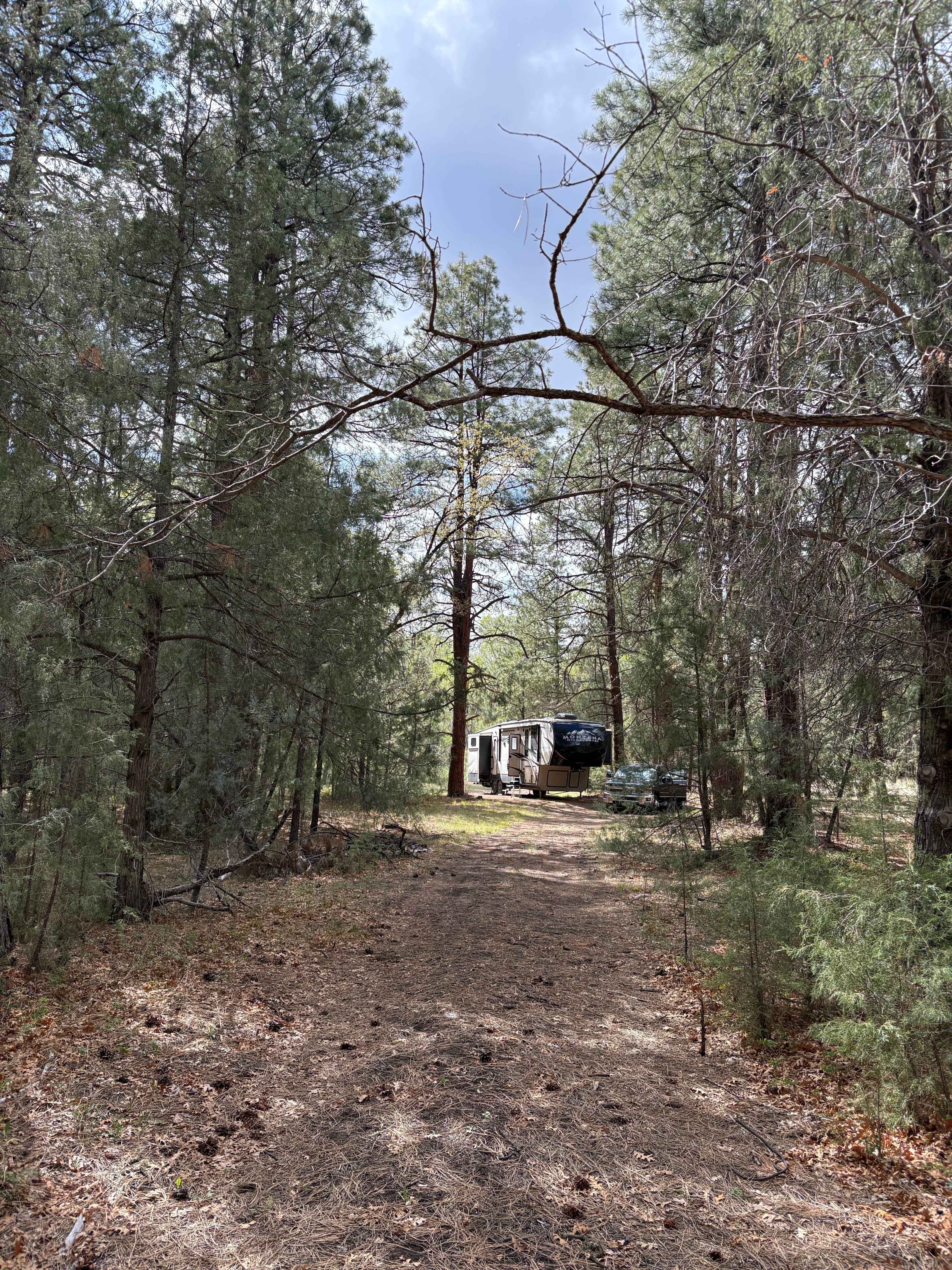 Camper-submitted photo at Head Of The Ditch Campground near Blue, AZ