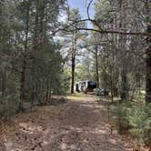 Review photo of Head Of The Ditch Campground by Merrily J., May 10, 2026