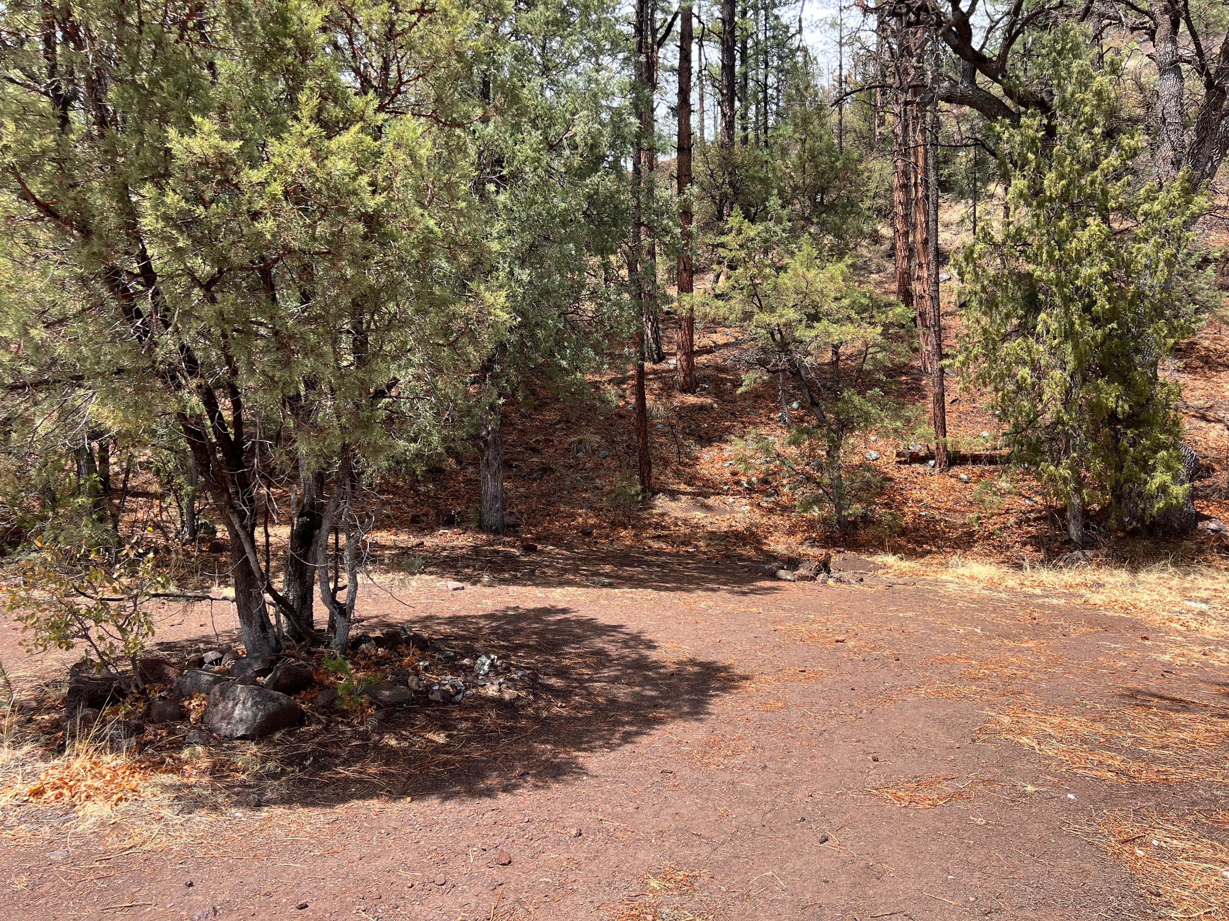 Camper-submitted photo at Head Of The Ditch Campground near Blue, AZ