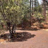 Review photo of Head Of The Ditch Campground by Meghan B., May 7, 2025