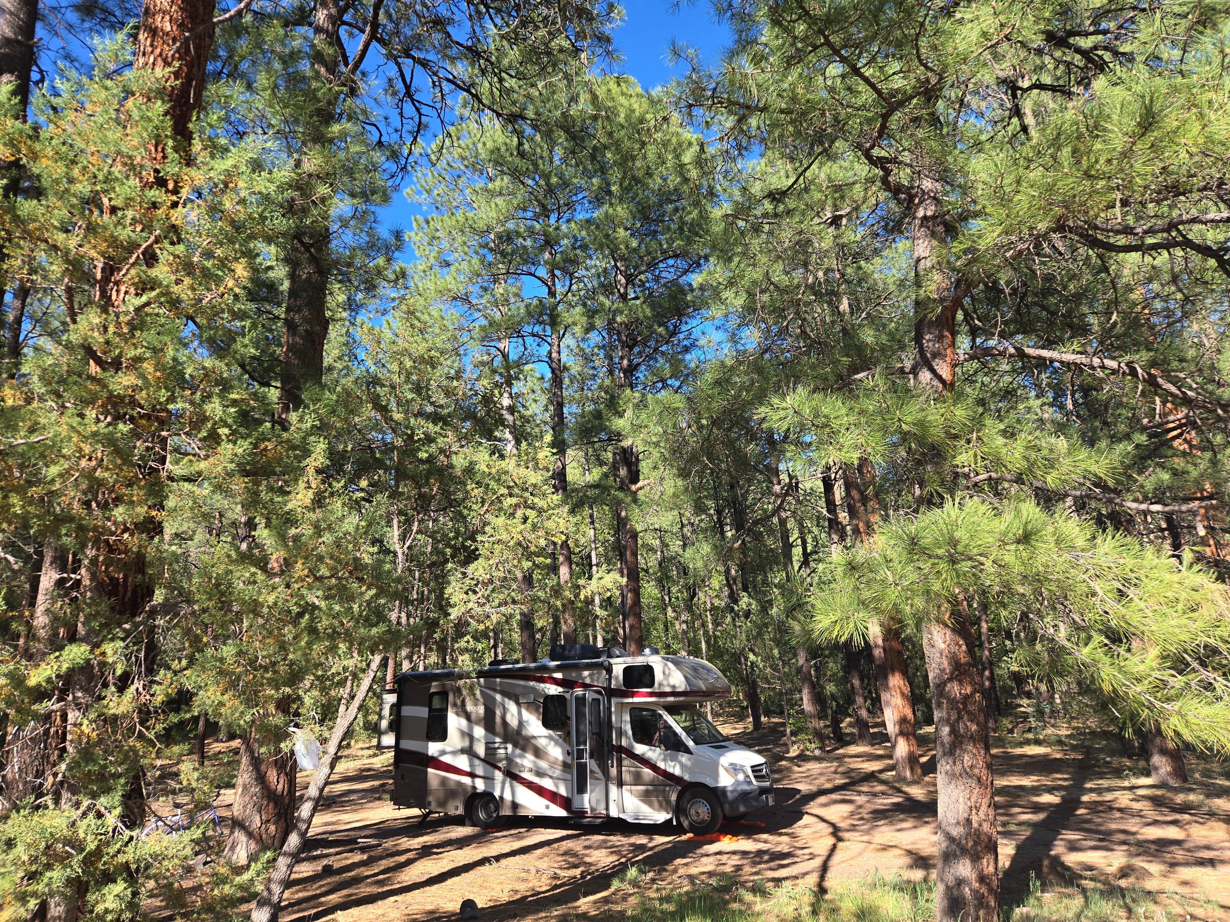 Camper-submitted photo at Head Of The Ditch Campground near Blue, AZ