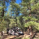 Review photo of Head Of The Ditch Campground by mark F., June 3, 2024