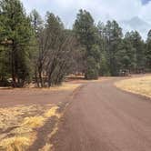 Review photo of Head Of The Ditch Campground by Meghan B., May 7, 2025