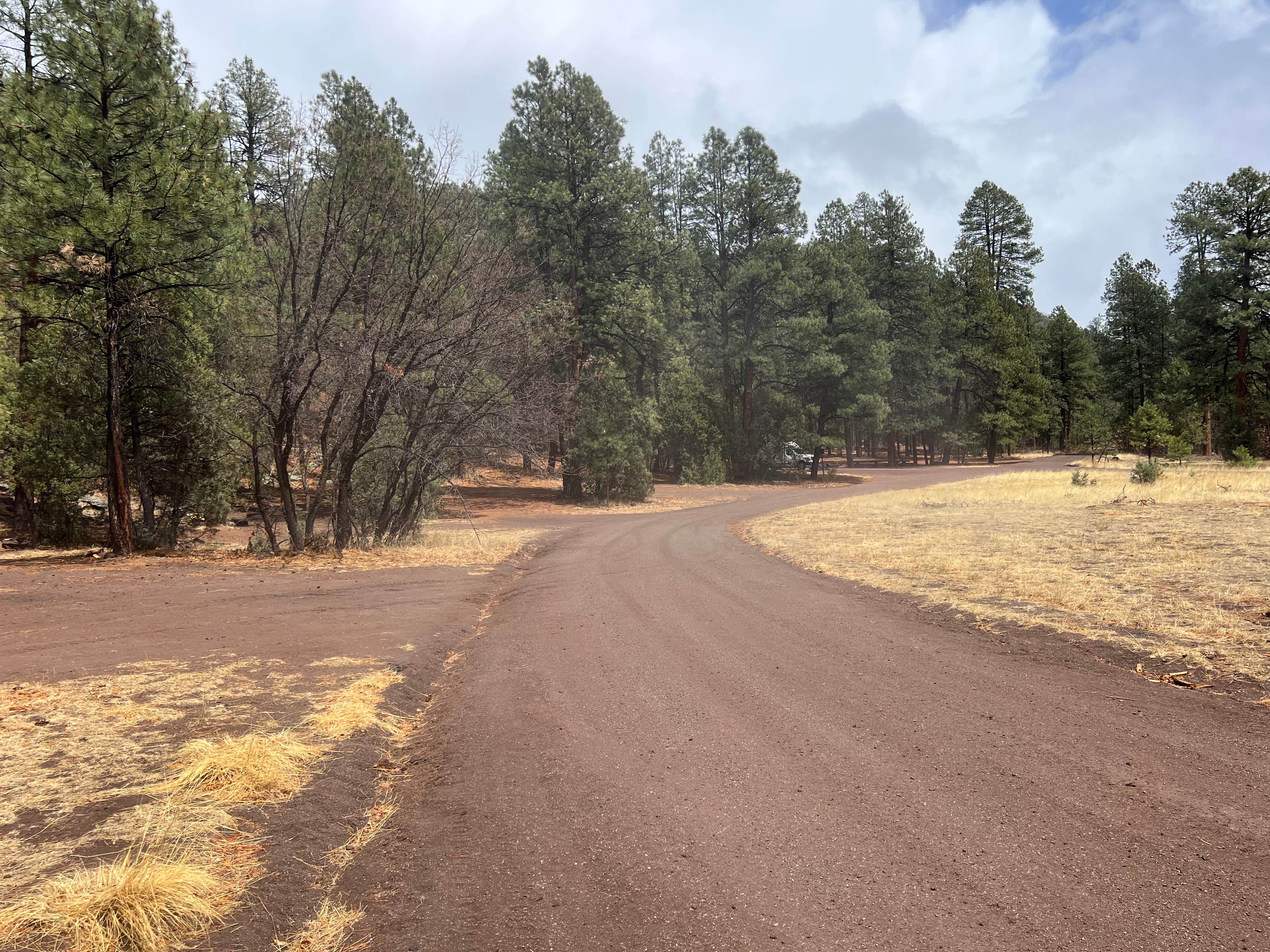Camper submitted image from Head Of The Ditch Campground - 3