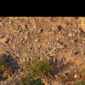 Review photo of Holloman AFB FamCamp by Carlee S., May 28, 2025