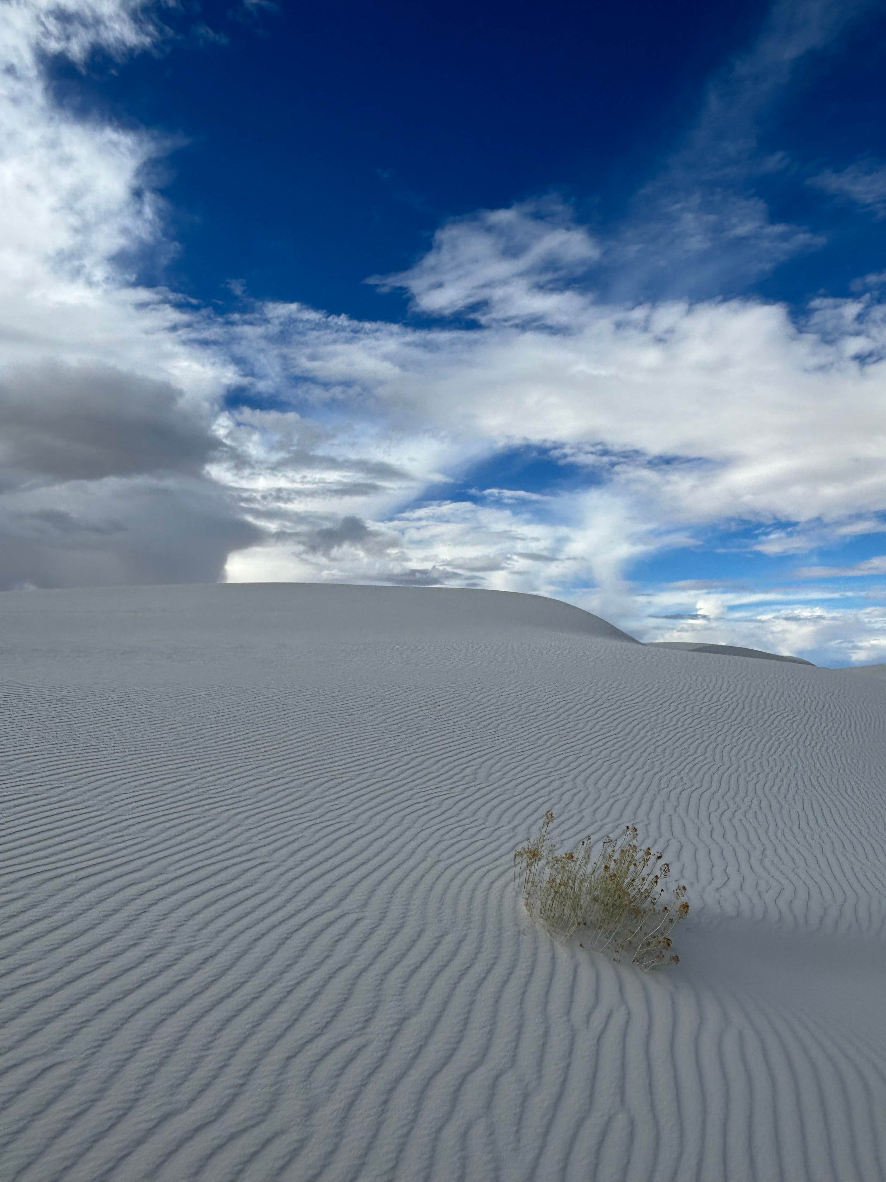 Holloman AFB FamCamp Holloman Air Force Base, NM