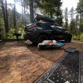 Review photo of Hyde Memorial State Park Campground by Renee V., May 31, 2026