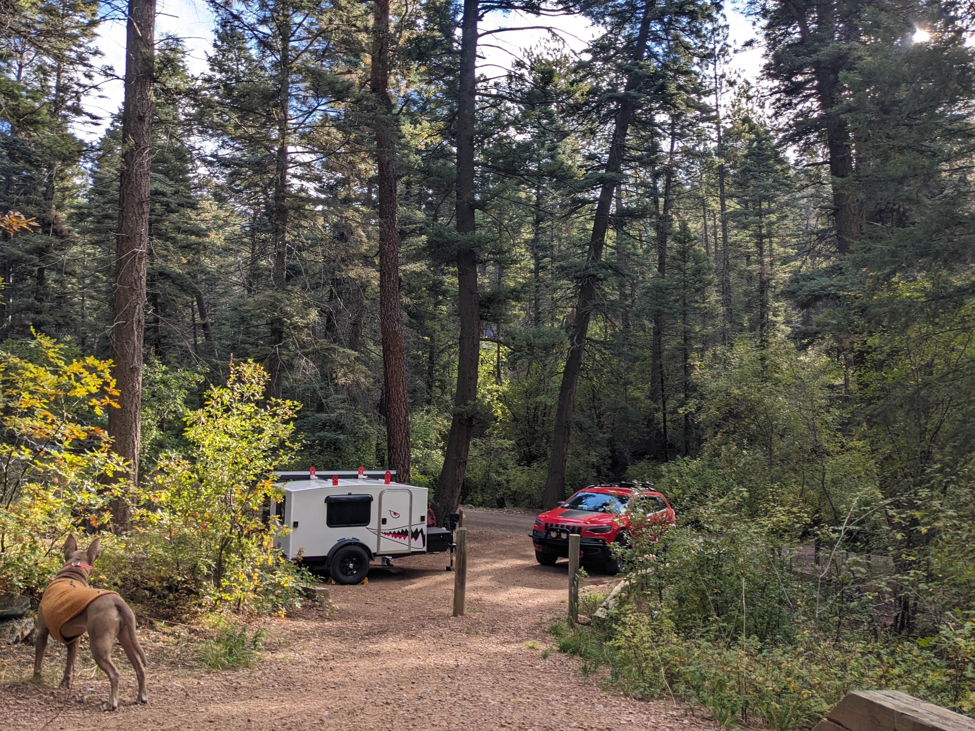Kari M.'s photo of camping with pets at Hyde Memorial State Park Campground near Eldorado at Santa Fe, NM