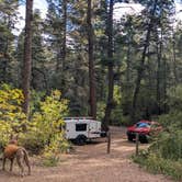 Review photo of Hyde Memorial State Park Campground by Kari M., October 7, 2023