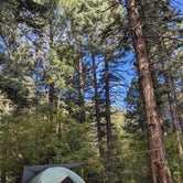 Review photo of Hyde Memorial State Park Campground by Kari M., October 7, 2023