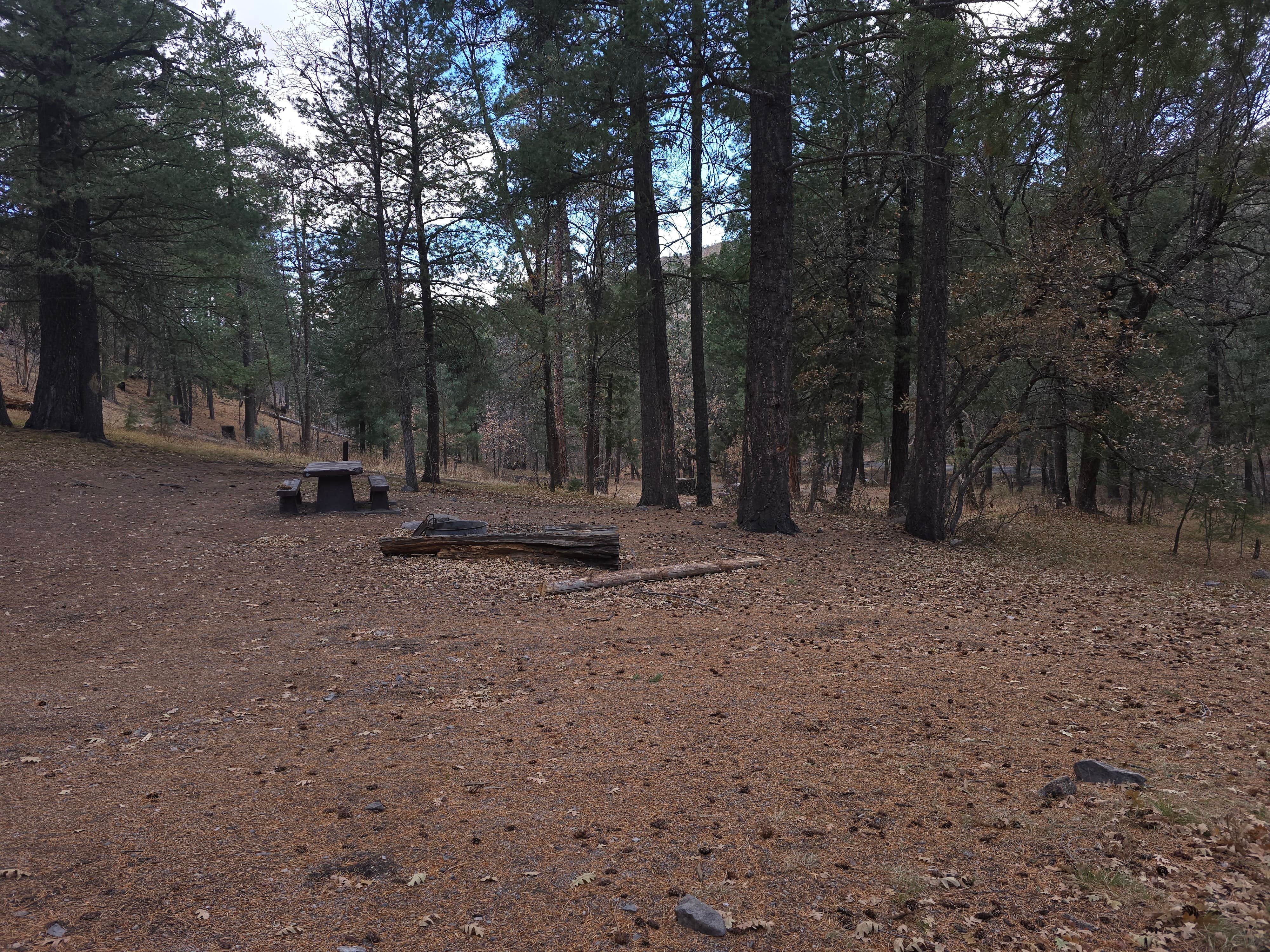 Camper-submitted photo at Iron Creek Campground near Gila National Forest