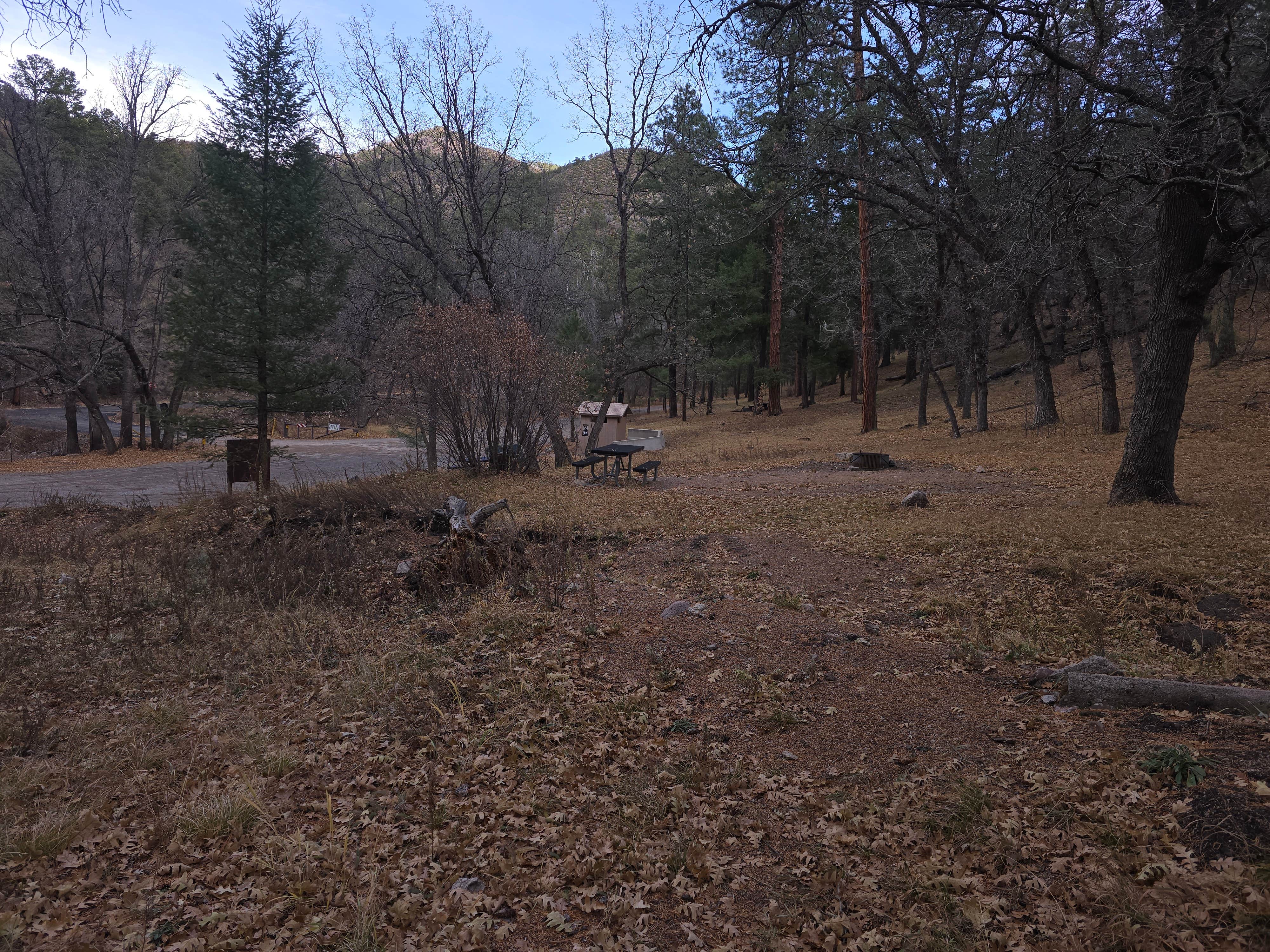Camper-submitted photo at Iron Creek Campground near Gila National Forest