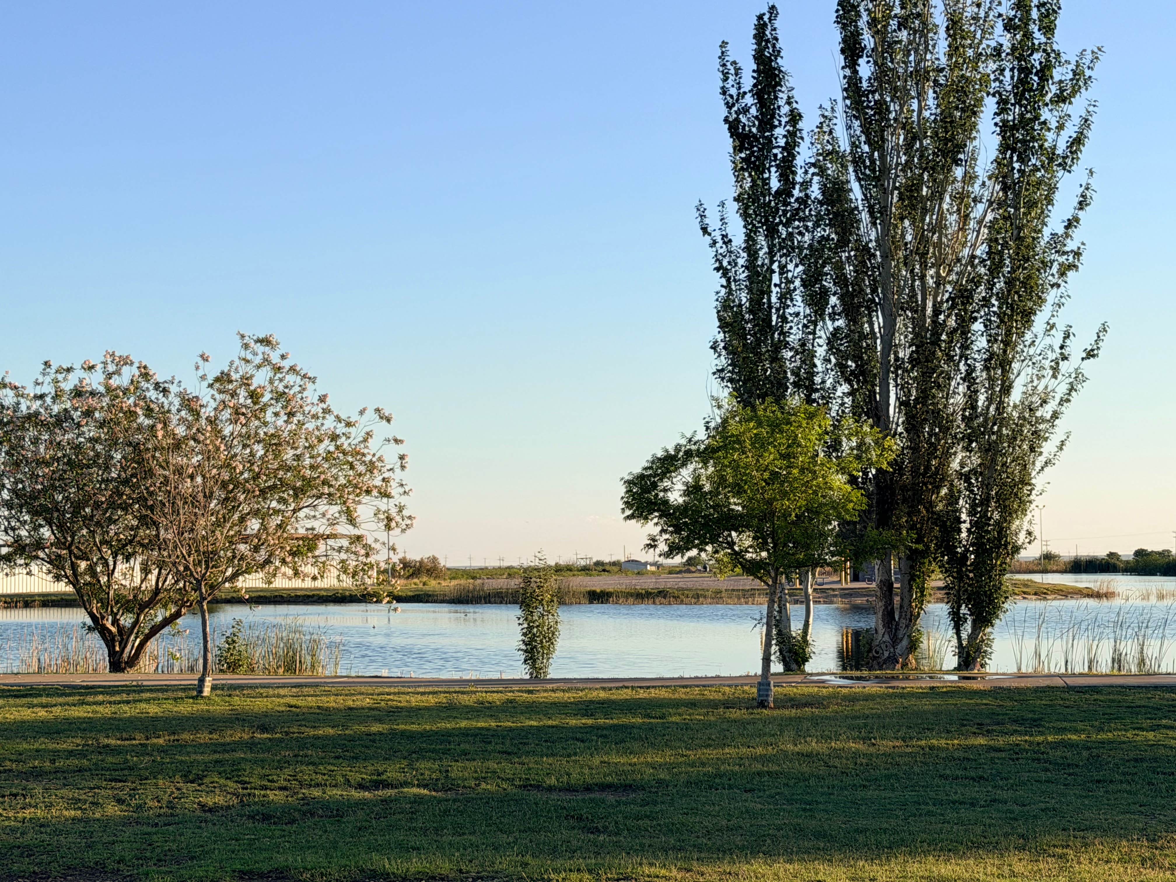 Camper-submitted photo at Jal Lake Park near Jal, NM