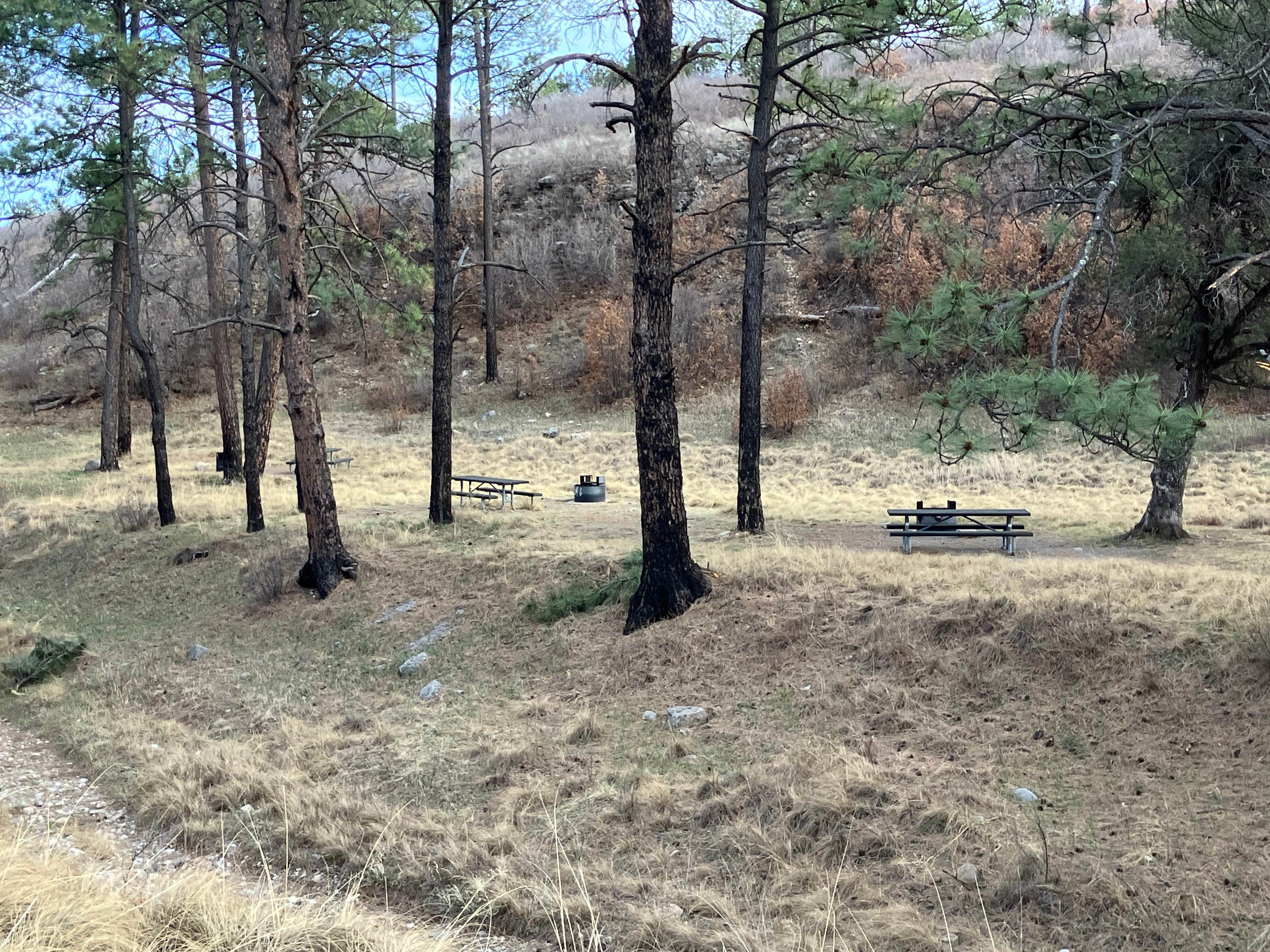 Camper-submitted photo at James Canyon Campground near Timberon, NM