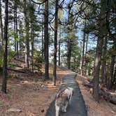 Review photo of Jemez Falls Campground by Nora S., June 14, 2025