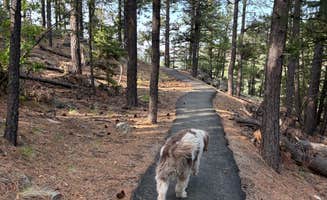 Nora S.'s photo of camping with pets at Jemez Falls Campground near Cuba, NM