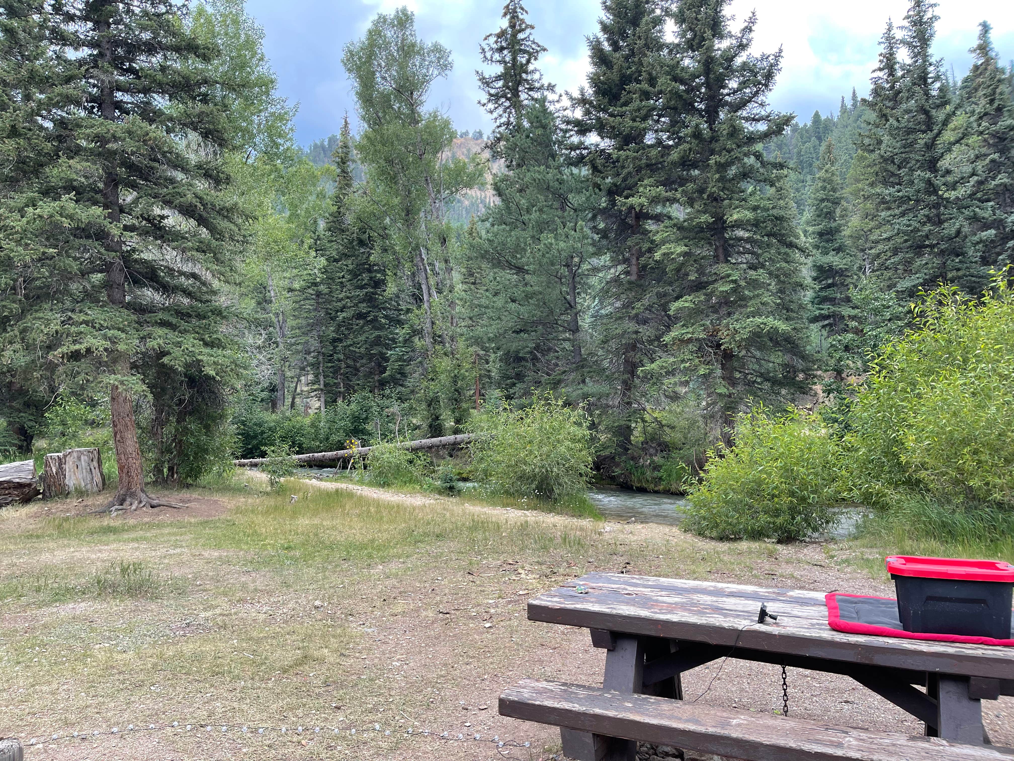 Camper-submitted photo at Junebug Campground near Eagle Nest, NM